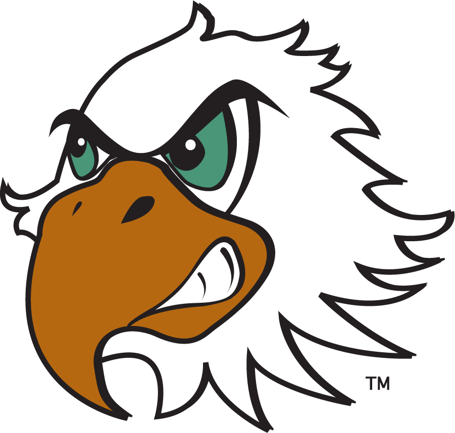 North Texas Mean Green 2003-2005 Mascot Logo v5 diy iron on heat transfer